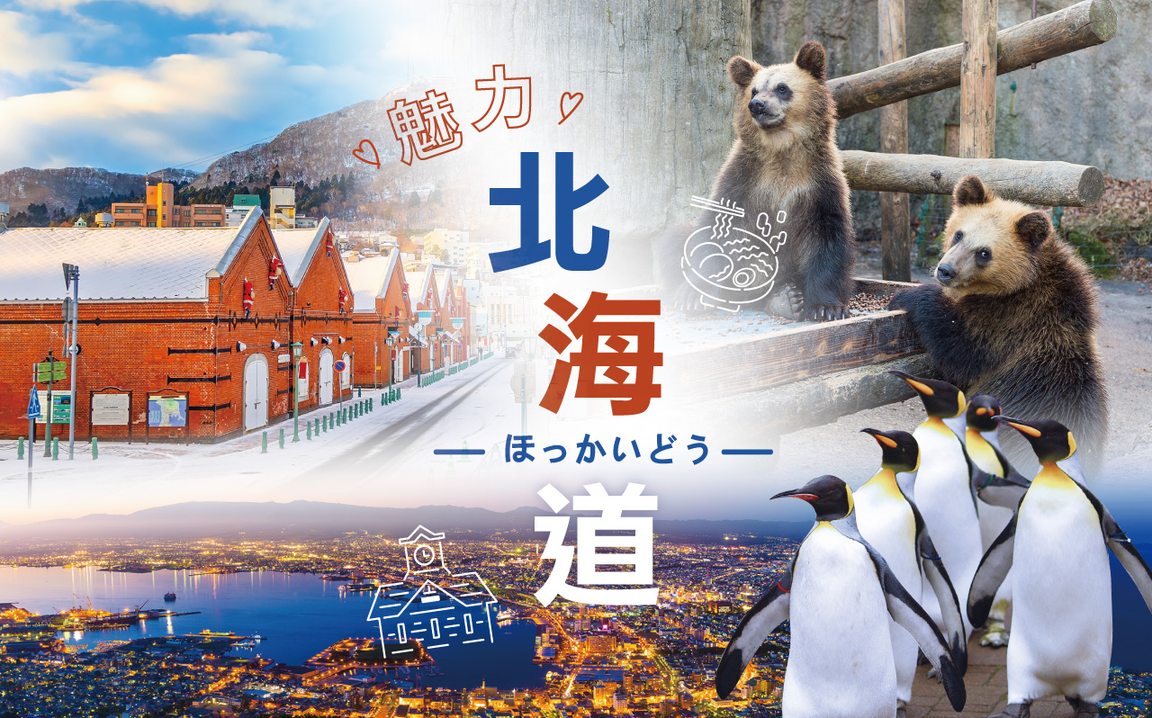 魅力北海道５日